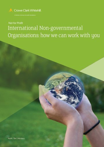 International Non Governmental Organisations brochure