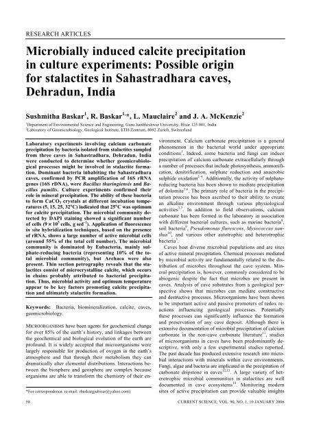 Microbially induced calcite precipitation in culture experiments ... - IISc