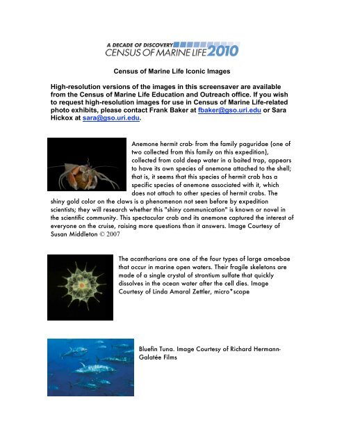 Census of Marine Life Iconic Images Captions and Credits