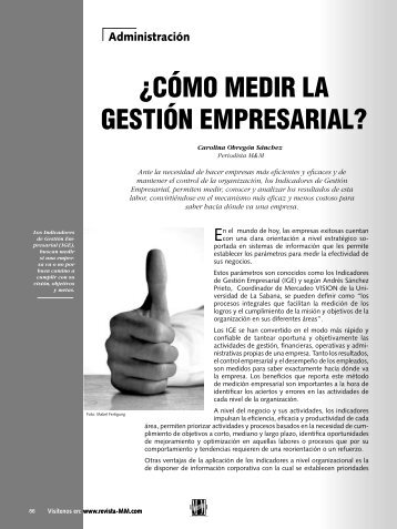 Â¿CÃ“MO MEDIR LA GESTIÃ“N EMPRESARIAL? - Revista El Mueble ...