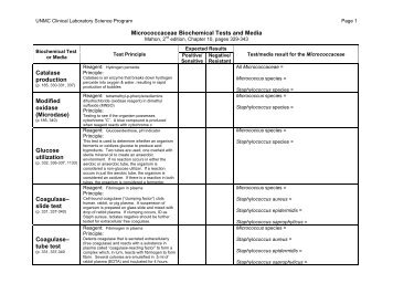 Micrococcaceae Biochemical Tests and Media - UNMC