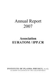 Annual Report 2007 - Institute of Plasma Physics