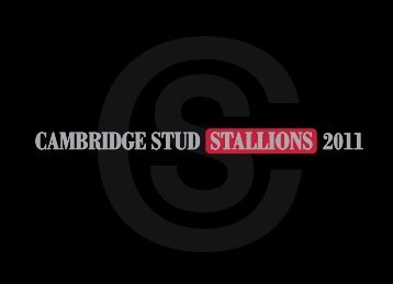 CAMBRIDGE STUD STALLIONS 2011