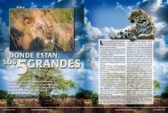 www.revistavidasalvaje.com.ar www.revistavidasalvaje.com.ar www ...