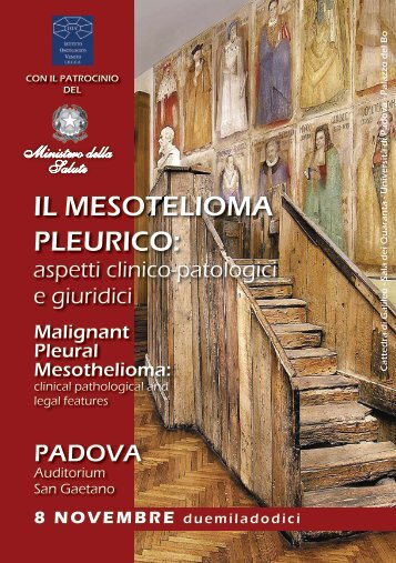 Il Mesotelioma Pleurico.pdf - IOV
