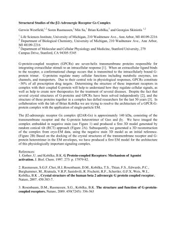 Structural Studies of the Î²2-Adrenergic Receptor Gs Complex ...