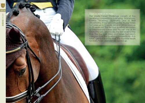 World Dressage Masters Guide 2014