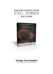 Steel Strings - User's Guide - Orange Tree Samples