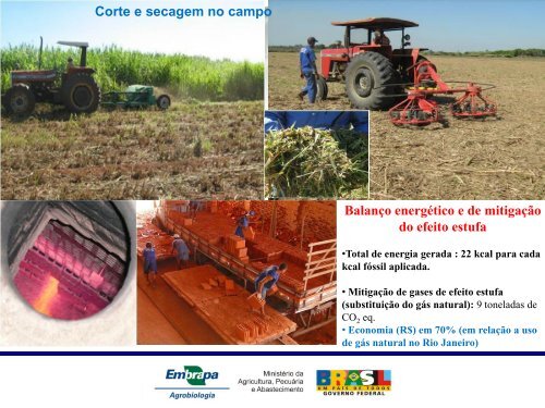 Embrapa Agrobiologia - Pesagro-Rio