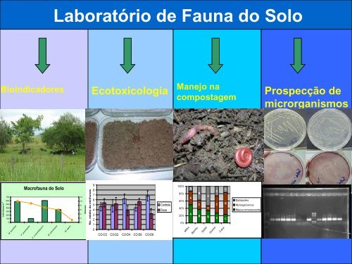 Embrapa Agrobiologia - Pesagro-Rio