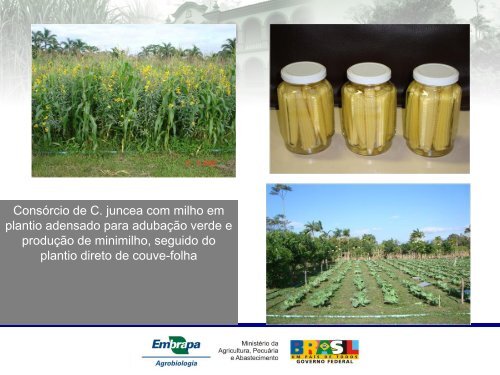 Embrapa Agrobiologia - Pesagro-Rio