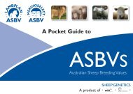 Pocket guide - Sheep Genetics