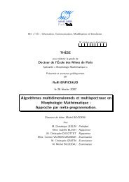 PhD - Raffi Enficiaud.pdf - Centre de Morphologie MathÃ©matique