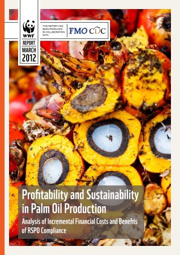 Profitability and Sustainability in Palm Oil Production PDF - WWF