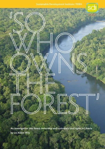 An investigation into forest ownership and customary land ... - Fern