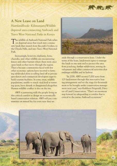 Annual Report 2008 - African Wildlife Foundation