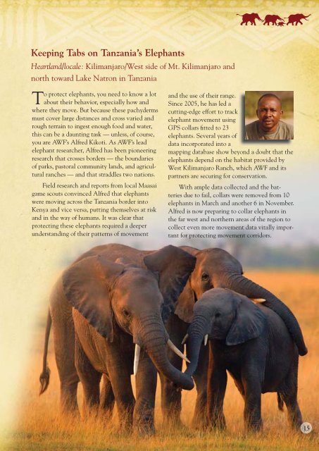 Annual Report 2008 - African Wildlife Foundation