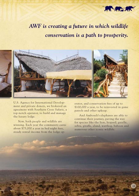 Annual Report 2008 - African Wildlife Foundation