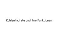 Kohlenhydrate und ihre Funktionen