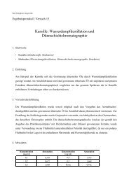 Kamille: Wasserdampfdestillation und DÃ¼nnschichtchromatographie