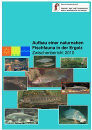 Aufbau einer naturnahen Fischfauna in der Ergolz - Kanton Basel ...