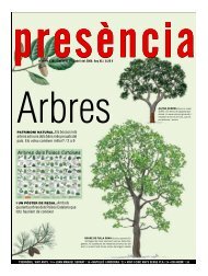 quaranta arbres dels PaÃ¯sos Catalans que tots haurÃ­em ... - VilaWeb