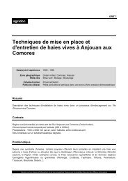 Techniques de mise en place et d'entretien de ... - Comores-online