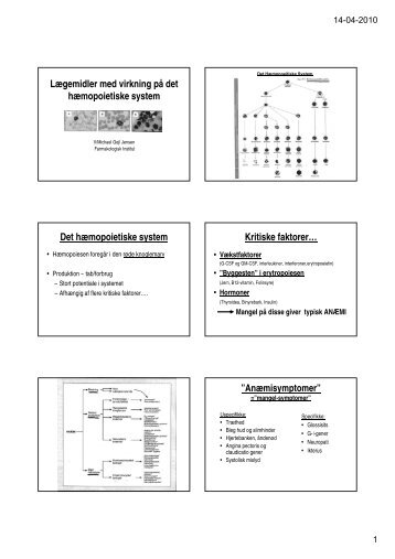Det hæmopoietiske system - Institutleder til klinisk medicin