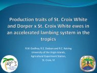 Production traits of St. Croix White and Dorper x St. Croix ... - Inra