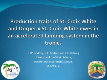 Production traits of St. Croix White and Dorper x St. Croix ... - Inra