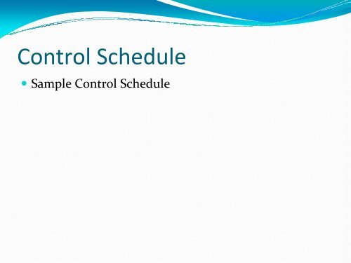 Johnson - Project Controls - CII Overview