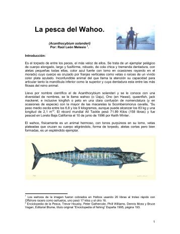 La pesca del Wahoo - El Líder Fishing Team