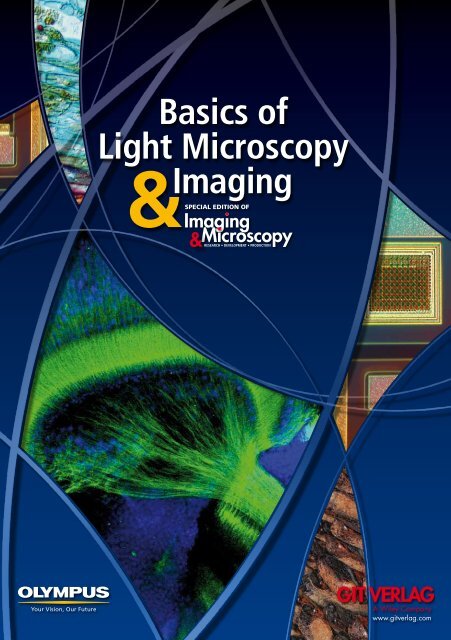 Basics of Light Microscopy Imaging - AOMF