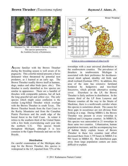 Brown Thrasher - Michigan Breeding Bird Atlas Website