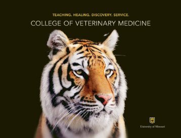 University of Missouri - College of Veterinary Medicine
