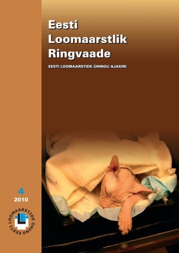 2010 Ringvaade nr.: 4 PEATOIMETAJA VEERG Aastavahetuse ...