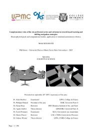 Complementary roles of the rat prefrontal cortex and - Institut des ...