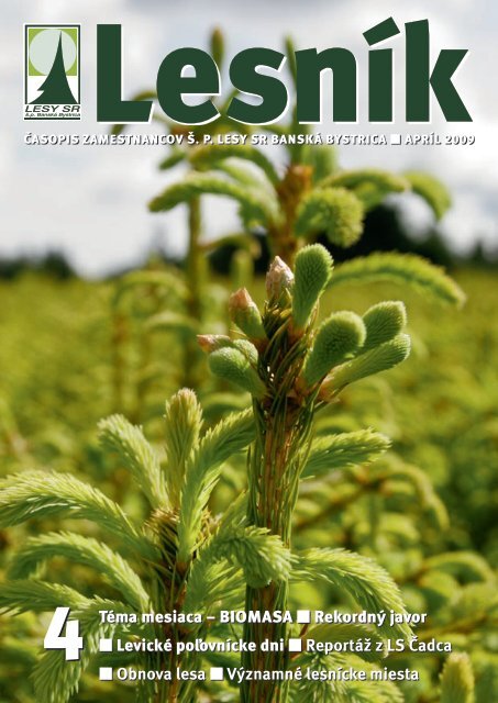 4tema Mesiaca Biomasa Rekordny Javor Levicke Lesy Sr S P