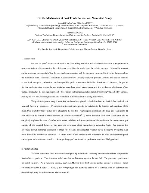 On the Mechanism of Soot Track Formation: Numerical Study