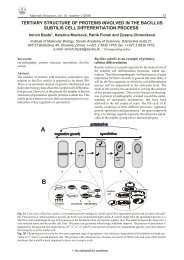 tertiary structure of proteins involved in the bacillus subtilis cell ...