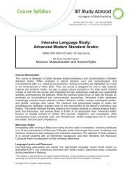 Intensive Language Study: Advanced Arabic - syllabus