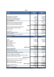 Comptes sociaux VERGNET SA 2011 publiés