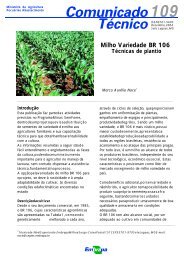 Milho Variedade BR 106 - Embrapa Produtos e Mercado