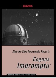 Step-by-Step Impromptu Reports