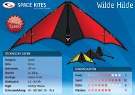 Wilde Hilde - Space Kites