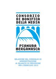 Relazione C.d.A. 2013 - Consorzio di Bonifica della Media Pianura ...