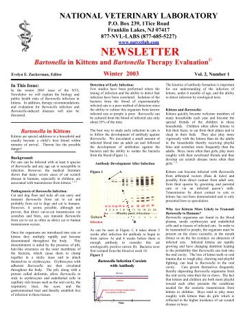 Bartonella - National Veterinary Laboratory, Inc.