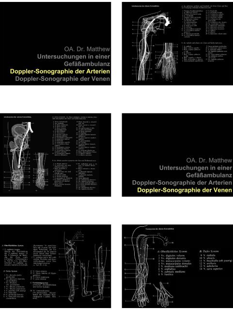 Anatomie im KH - Ein Blick in eine chirurgische Endoskopie-Praxis