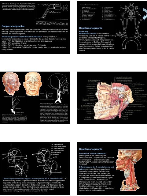 Anatomie im KH - Ein Blick in eine chirurgische Endoskopie-Praxis