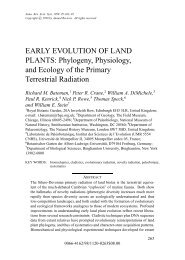 EARLY EVOLUTION OF LAND PLANTS: Phylogeny ... - ResearchGate